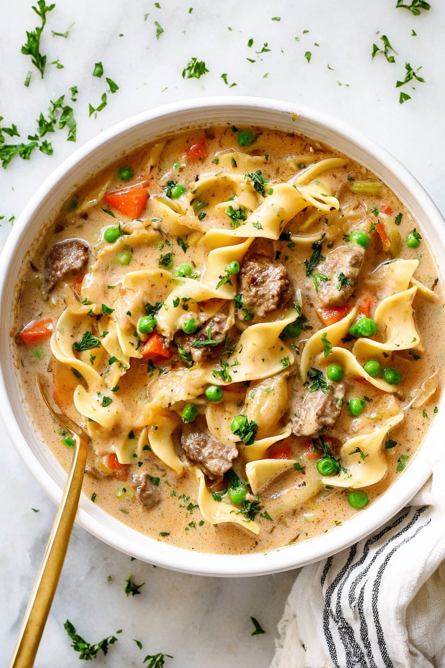 Creamy Beef Noodle Soup - Serving Suggestion